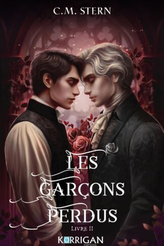 LES GARCONS PERDUS T2