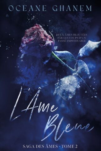 LA SAGA DES AMES - L'AME BLEUE - SAGA DES AMES TOME 2