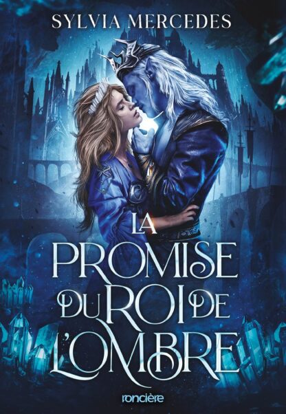 LA PROMISE DU ROI DE L'OMBRE - TOME 01 (BROCHE)