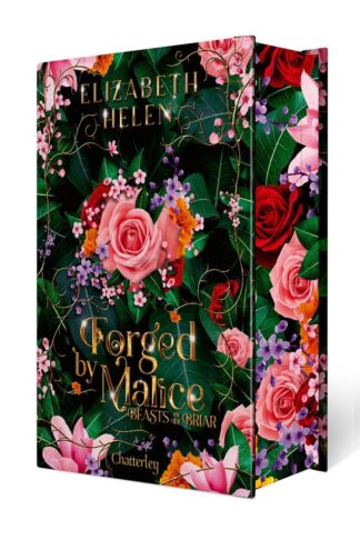 BEASTS OF THE BRIAR - TOME 3 FORGED BY MALICE - EDITION RELIEE - VOL03